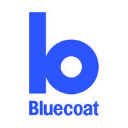 Junior Marketing Executive